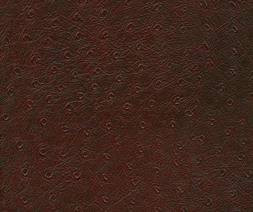 CORIUM PIEMONTE VINO leather flooring by GRANORTE